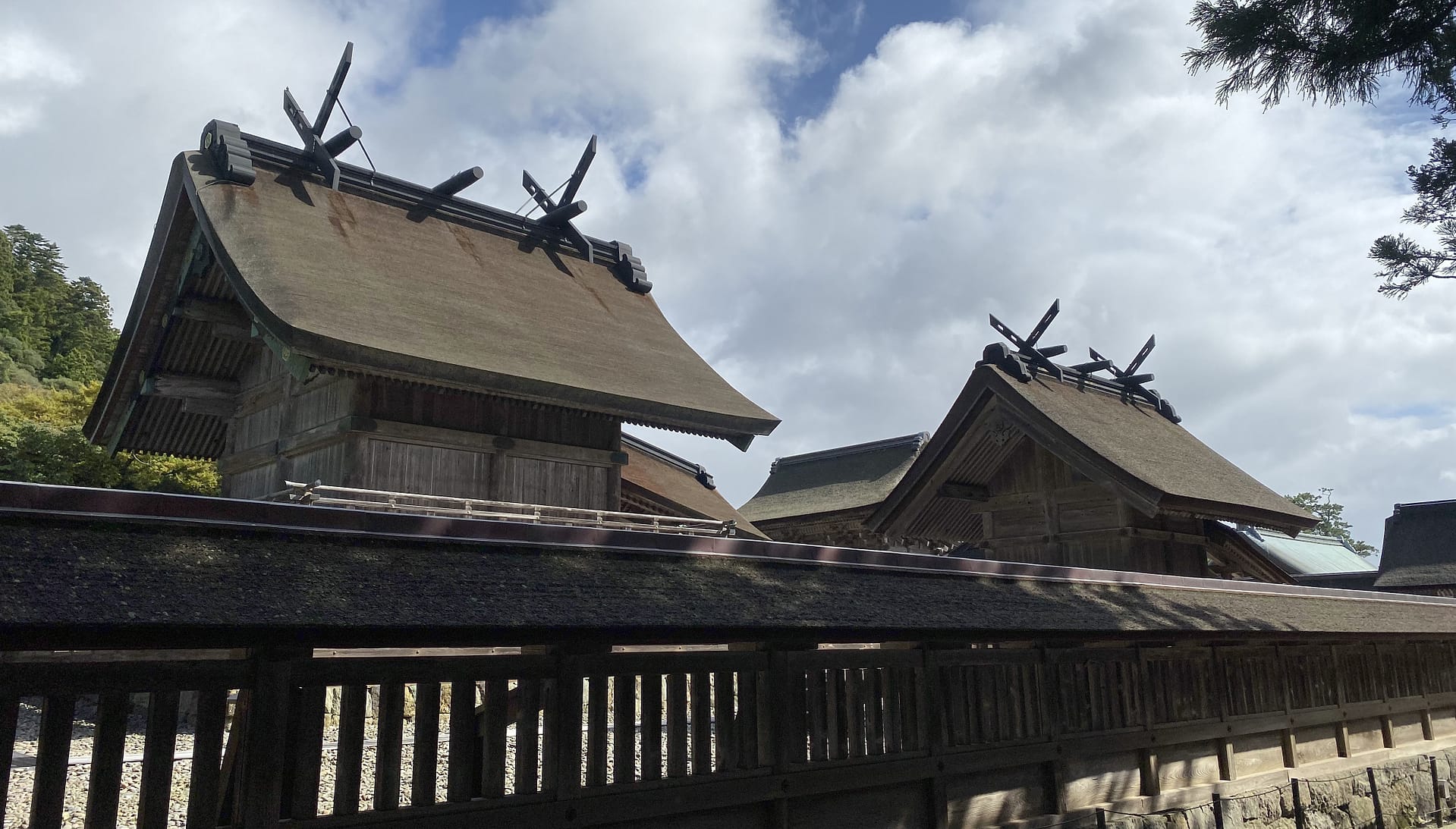 【姫路】結婚相談所 ロビンソン・パートナーズ【神戸】ブログ画像_出雲大社_20